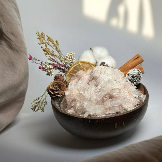 BBOBBY CRYSTAL Lemurian crystal mini garden in a coconut bowl, soft daylight calming home decor